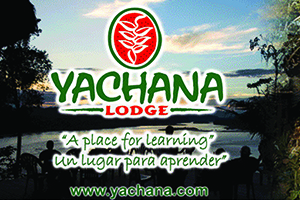 yachana billboard